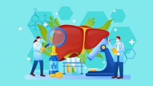 What Does CBD Do to Your Liver?
